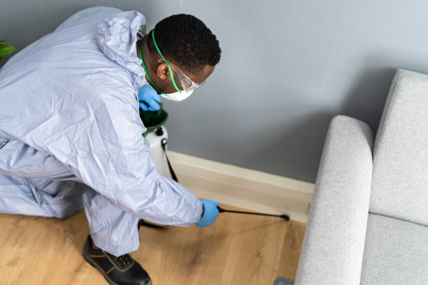 Real Estate Pest Inspections in Fairchance, PA